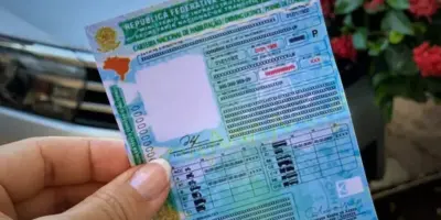 CNH totalmente de graça: Detran aniquila valor astrônomico e deixa brasileiros em festa com comunicado oficial
