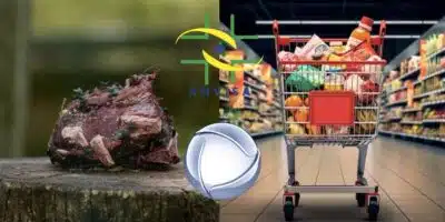 Imagem PreCarregada