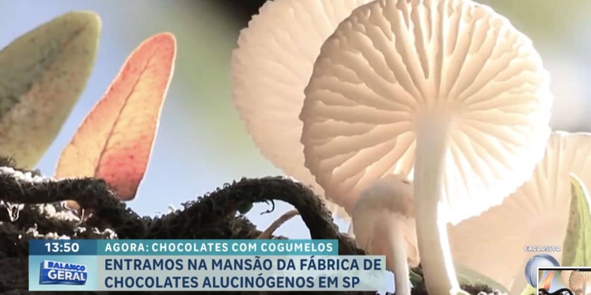 Cogumelos mágicos (Foto: Reprodução / Record)