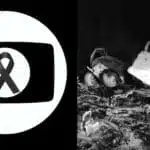 LUTO: Morre âncora da Rede Globo em acidente de carro (Foto: Reprodução - G1, Montagem - TV Foco)
