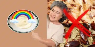 Receita da vovó e adeus aos cupins e baratas - (Reprodução Internet)