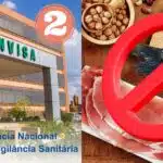 Anvisa e marcas de carnes (Foto: Reprodução / Canva)