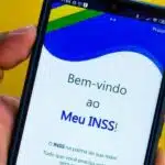 Meu INSS é o aplicativo oficial do programa (Reprodução: Internet)