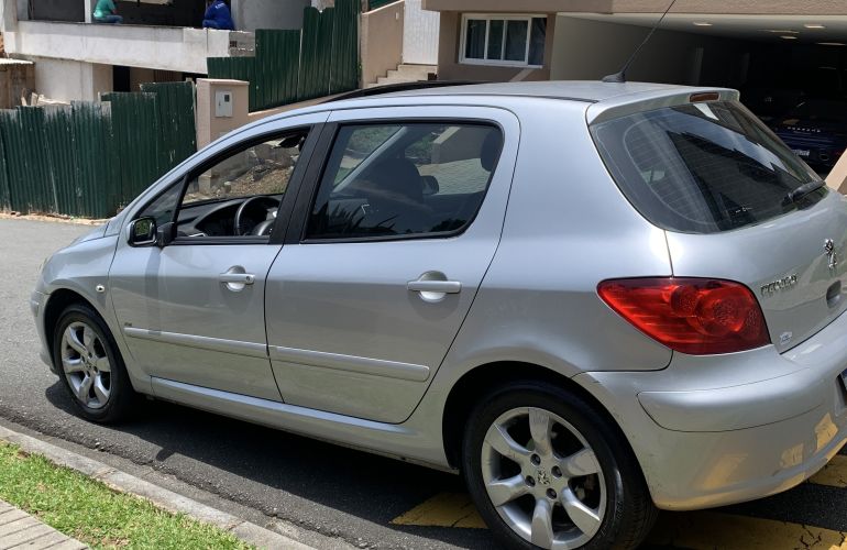 Peugeot 307 Feline 2.0 2009 (Foto: Reprodução/ Internet)