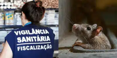 Vigilância Sanitária encontrou ratos e baratas em lanchonete (Foto: Divulgação)