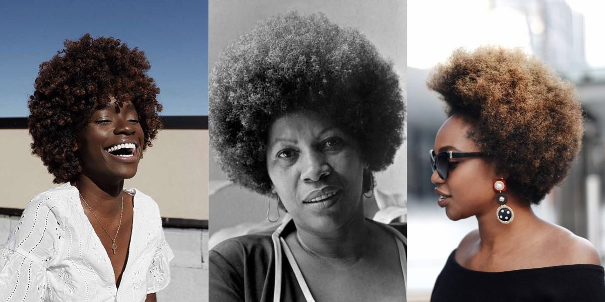 Afro arredondado (Reprodução/Internet)
