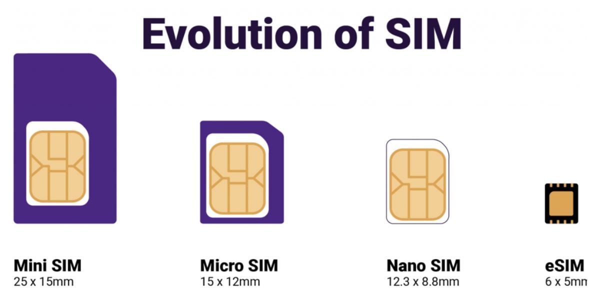 Evolução do SIM (Reprodução/Professor do IPhone)