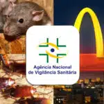 Anvisa- Ratos, baratas, McDonald's (Foto: Reprodução, Montagem - TV Foco)