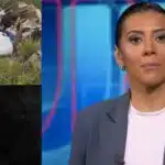 Avião, imagem de luto e Aline Midlej no Jornal Nacional (Fotos: Reproduções / Internet / Canva / Globo / Montagem)
