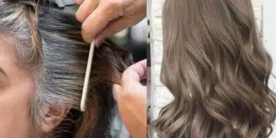 Cabelos grisalhos / Cabelos castanhos - Montagem TVFOCO