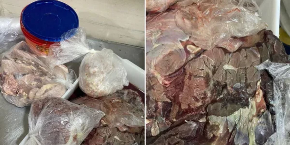 Carne estragada (Foto: Reprodução / VISA Maceió)