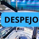 DESPEJO - Foto: Canva