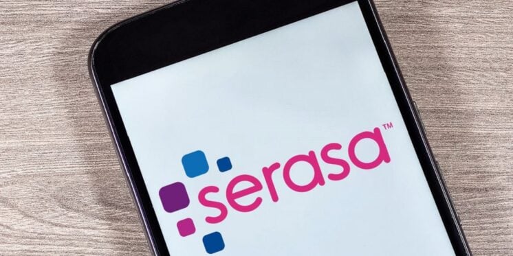 Serasa app (Foto: Reprodução/ Internet)