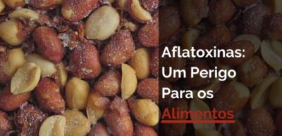Aflatoxina provoca riscos à saúde (Foto: Reprodução / Canva)