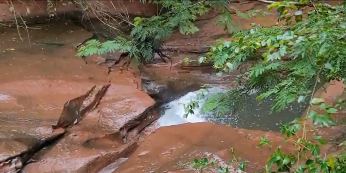 Bom Dia Brasil, Globo