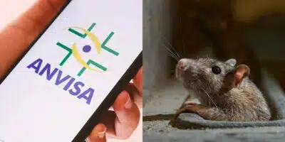 Imagem PreCarregada