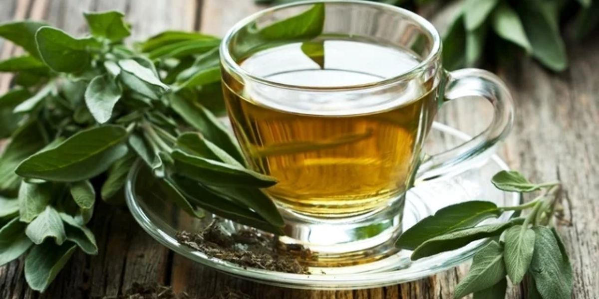 Chá-verde ajuda na luta contra o glaucoma (Reprodução: Internet)