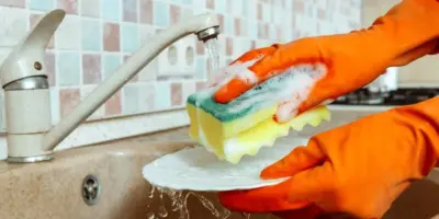 Xô bactérias e infecções: A melhor forma de desinfetar a esponja de lavar louças em apenas 5 minutos
