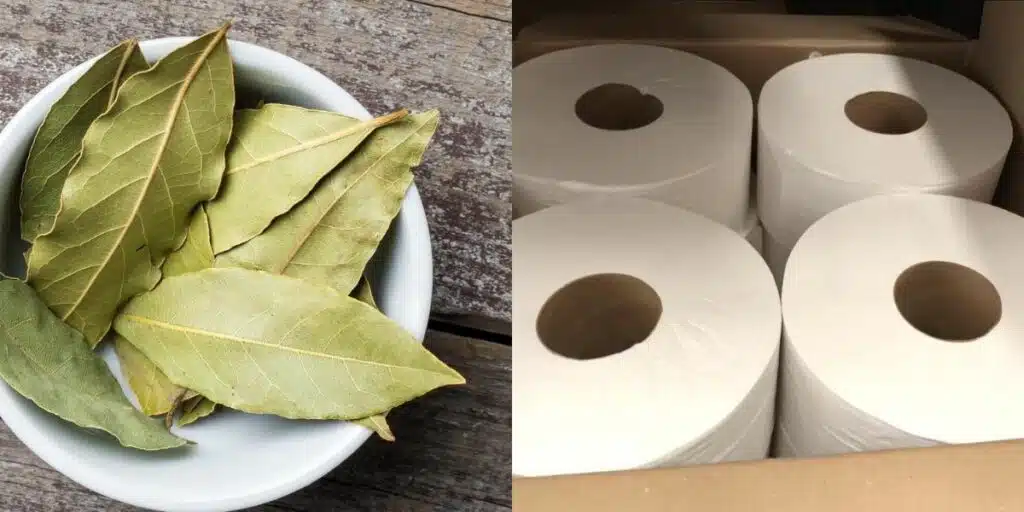 Truque especial para quem deseja deixar o ambiente do banheiro mais cheiroso (Foto: Reprodução/ Internet)
