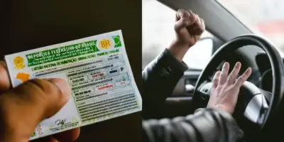 Pagamento da CNH aniquilado: Motoristas com mais de 50 anos entram em festa com nova lei de trânsito armada