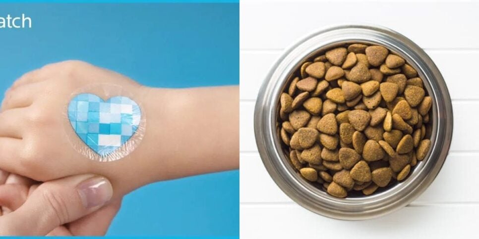 Adesivo UV e Ração de cachorro (Reprodução/Internet)