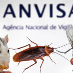 ANVISA- Rato e insetos (Foto: Reprodução, Montagem - TV Foco)