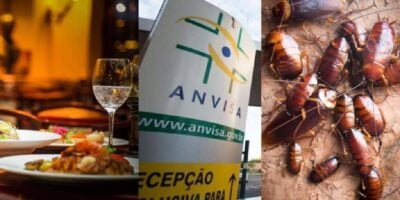 Imagem de um restaurante ao lado do logo da ANVISA e algumas baratas (Foto: Reprodução/ Internet)