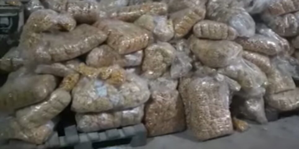 Biscoitos armazenados de forma irregular proximo a veneno para ratos (Foto: Reprodução/ Internet)