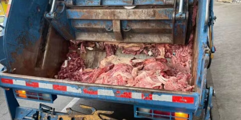 Caminhão de lixo com carnes (Foto: Reprodução / Polícia Civil)