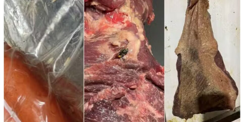Carnes estragadas (Foto: Reprodução /  Polícia Civil /) 
