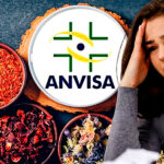 Os 6 chás proibidos pela ANVISA após denúncia e grave constatação (Foto Reprodução/Montagem/Lennita/Tv Foco/Freepik/Canva)