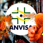 ANVISA determinou proibição de tempero popular após risco fatal (Foto Reprodução/Montagem/Lennita/Montagem/ANVISA/Canva)