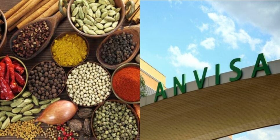 Anvisa fez proibição envolvendo um famoso tempero de cozinha (Foto: Reprodução/ Internet)