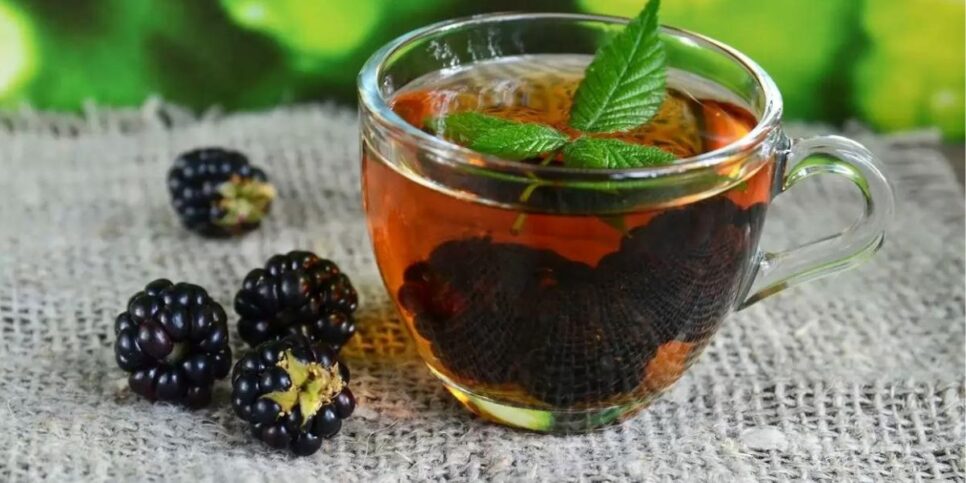 Chá de amora (Foto: Reprodução/Youtube)