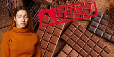 Falência e extinção: 5 chocolates famosos que você amava comprar e comer foram arrancados dos mercados