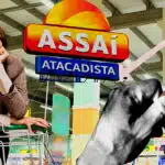 Rede de supermercados gigantesca, rival do Assaí, luta para sobreviver após crise (Foto Reprodução/Montagem/Canva/Internet)
