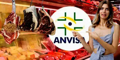 ANVISA interditou 5 açougues após cenário de horror em meio a 10 toneladas de carne podre e + (Foto Reprodução/Montagem/Lennita/TV Foco/Canva/Pinterest/Metrópoles)
