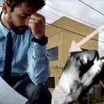Empresa tradicional pediu pela falência após não suportar a crise e concorrência (Foto Reprodução/Montagem/Lennita/Tv Foco/Mobra/Canva)