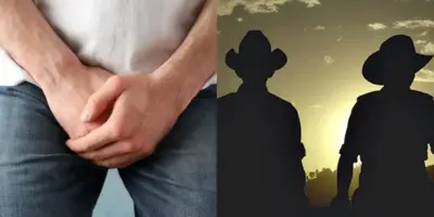 Chute no pênis, quebra-pau em ônibus e soco: O fim escandaloso de dupla sertaneja tradicional e situação agora