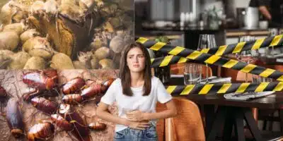 Imagem PreCarregada