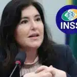 Simone Tebet, carteira de trabalho, logo do INSS, carteira do PIS/Pasep e notas de dinheiro (Fotos: Reproduções / Internet / Freepik / Bruno Spada/Câmara dos Deputados)