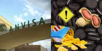 Anvisa proíbe marcas de salgadinho, biscoito e amendoim (Reprodução/Montagem/Canva)