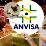 ANVISA baixou proibição contra padaria, açougue e mais 2 restaurantes após terríveis comprovações (Foto Reprodução/Montagem/Lennita/Canva/Freepik)