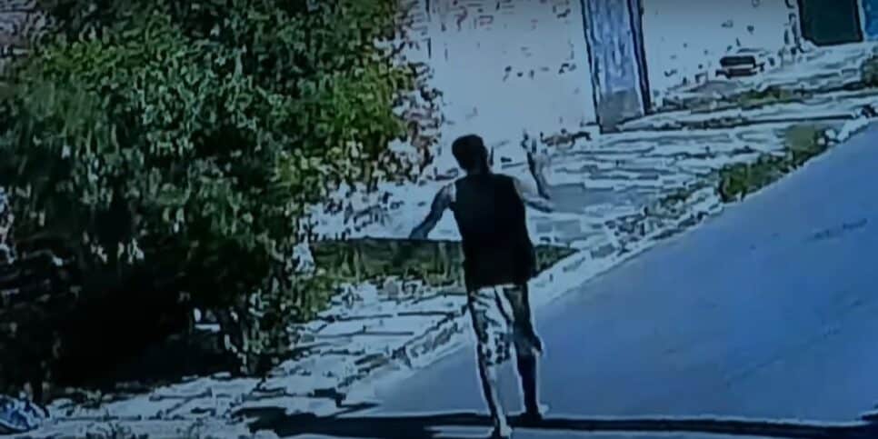 Luiz Bacci, Cidade Alerta