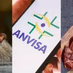 A interdição da Anvisa após encontrar rato, nojeira e carne podre (Foto: Divulgação)