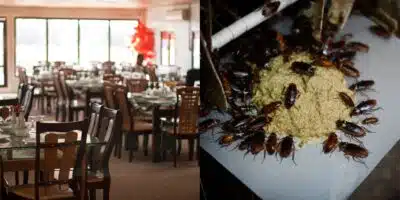 Restaurante foi fechado temporariamente após vigilância encontrar baratas (Foto: Reprodução/ Internet)