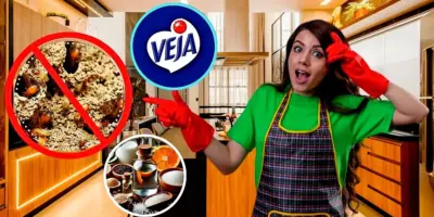 Mais potente que Veja: Mistura com 6 ingredientes deixa móveis limpos como nunca e extermina qualquer cupim