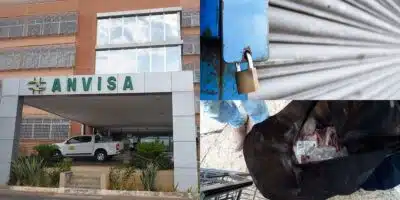 Anvisa lacrou e interviu sobre 4 mercados famosos em SP (Reprodução: Montagem TV Foco)