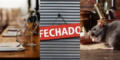 Rato morto na comida e risco fatal: O fechamento às pressas de restaurante popular após flagra da Vigilância