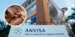 Anvisa interdita açougue +2 restaurantes (Foto: Reprodução, Montagem - TV Foco)
